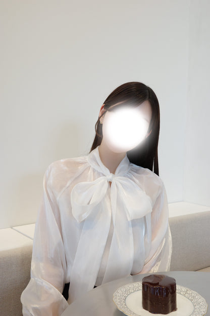 オーガンジービッグリボンブラウス