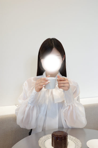 オーガンジービッグリボンブラウス